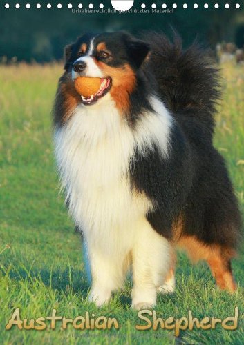 Australian Shepherd (Wandkalender 2014 DIN A4 hoch): Schöne Aufnahmen aus dem Leben von Australian Shepherd (Monatskalender, 14 Seiten)