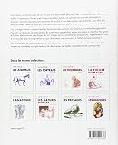 Image de Les caricatures