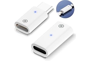 MODLOAN Lightning Female to Usb C Adapter,2Ps Usb C to Apple Pencil Adapter Compatible for Apple Pencil 1st Generation Charger Accessories Pen Charging for Ipad Pro Air 4 Type C