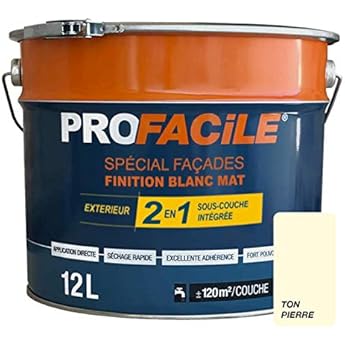 Renaulac Peinture Facade Siloxane Ton Pierre Garantie 15 Ans 10l 80m Pot Amazon Fr Bricolage