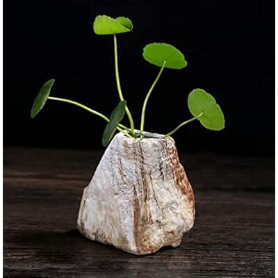 Amazon.es: Jarrones - Decoración del hogar: Hogar y cocina