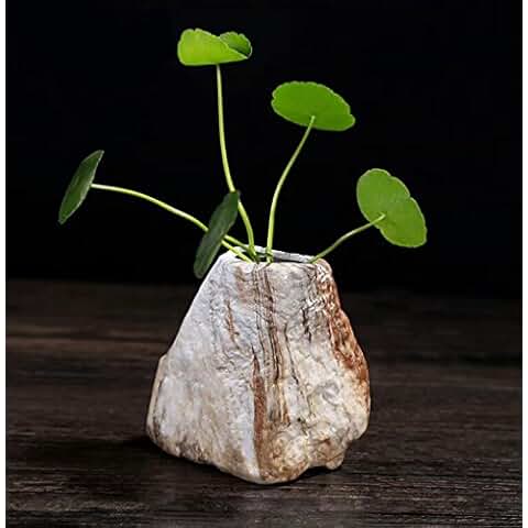 Amazon.es: Jarrones - Decoración del hogar: Hogar y cocina