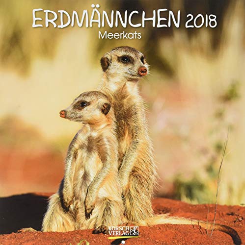 Erdmännchen 2018: Broschürenkalender mit Ferienterminen. Lustige Bilder der witzigen kleinen Tiere. 30 x 30 cm