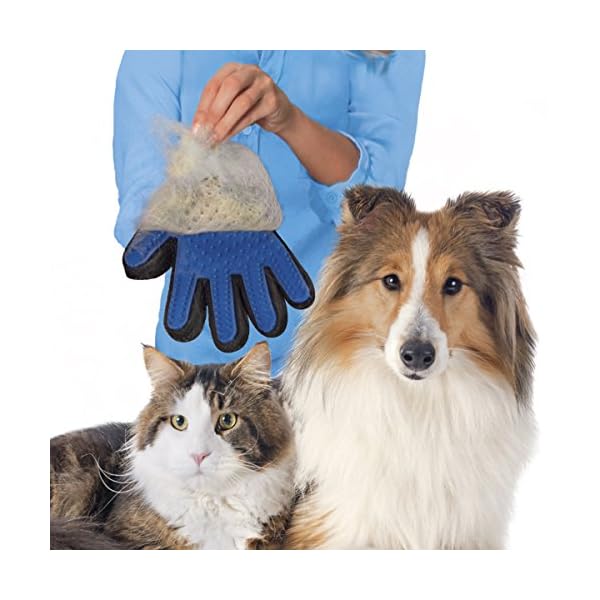 JML True Touch Pet Grooming Glove Dogs.co.uk