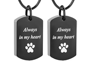Minicremation Collana con urna per ceneri per animali domestici, con impronta di zampa, ciondolo ricordo per ceneri di animali domestici, gatti e cani, con kit di riempimento