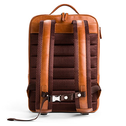OFFERMANN Lederrucksack Backpack for Men klassisch minimalistisch inklusive 15 Zoll Laptopfach 13 Liter braun