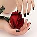 Bling Art False Nails French Manicure Black Dark Beauty Full Cover Medium Tips