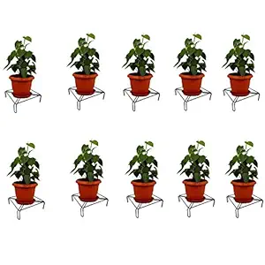 Xllent Flower Pot Stand, Pot Stand, Plant Stand Heavy Duty Metal for Plants in Balcony, Home Decor, Indoor and Outdoor Use (Square) Black Pack of 10