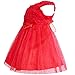 iiniim Baby Girl's Rose Flower Wedding Princess Dress Red 3-6 Months