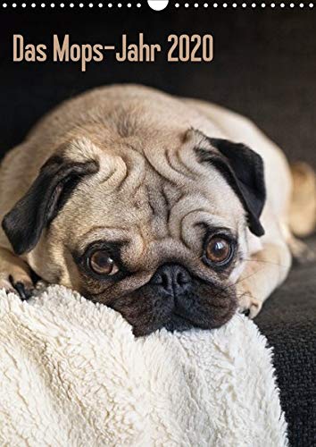 Das Mops-Jahr 2020 (Wandkalender 2020 DIN A3 hoch)