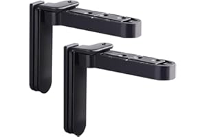 CNANRNANC 2 cerniere invisibili per porta girevole regolabile, cerniera per mobili (nero)