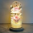 Anthonic Rosa infina immersa in oro, decorazione floreale Last