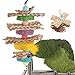 Produktbild Vogel Spielzeug,Dairyshop Papagei Haustier Vogel Bissen Aufstieg Kauen Spielzeug Parakeet Budgie Hanging Swing Cage, Handtuch Kürbis