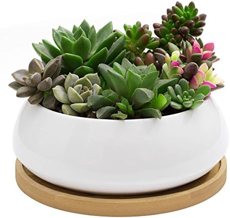 Innoter Succulent Planter, Modern White Ceramic Cactus Flower Pot Plant Pot with Bamboo Tray (Round)
