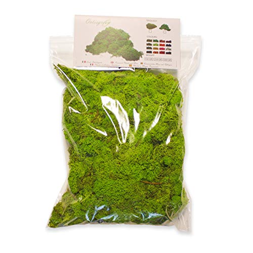 Ortisgreen Lichene estabilizado Premium 500 g. Color Verde Manzana (Maggio). Ideal para Cuadros Vegetales, Diorama, belén de Navidad, modelismo. Musgo estabilizado. Verde estabilizado.