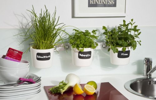 Kräuter- und Pflanzenleiter ‚Vega‘, 72,5 bis 111,5 cm, weiß - 3