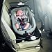 Jane Matrix Light 2 Platform Isofix