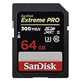 Tarjetas de memoria SDHC y SDXC UHS-II súper rápidas con velocidades de disparo de hasta 260 MB/s