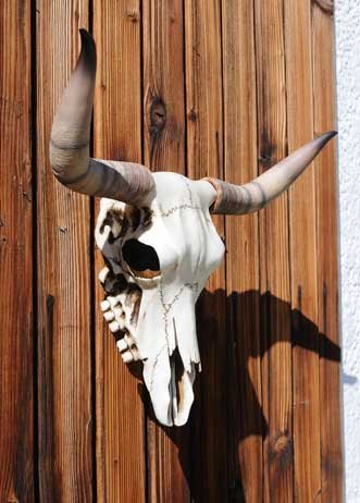 Bullenschädel Bullen Longhorn Schädel Skull Wicca Türbogen Metal LARP - 4