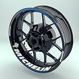 OneWheel Felgensticker Motorrad Komplett-Set (17 Zoll) - Felgenaufkleber Michelin (Einfach - Glänzend)