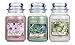 Produktbild Offizielles Set der Pure-Essence-Serie von Yankee Candle, 3 klassische, große Gläser – Linden Tree, Cherry Blossom, Wild Mint