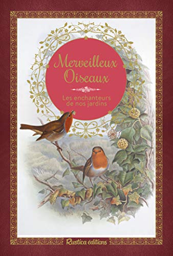 Télécharger Merveilleux oiseaux PDF Ebook En Ligne
