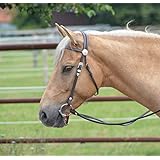 Busse Kopfstück COLT SILVER, mit Zügeln, Vollblut, VB, schwarz, schwarz