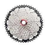 Kassettenzahn: 11-13-16-20-24-30-36-42-50T