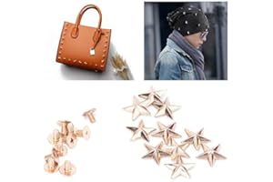 SHEENS Borchie per rivetti in lega, 10 set stella borchie bottoni per borse in pelle scarpe decorazione fai da te 14mm(Oro convesso 14mm)
