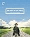 Criterion Collection: An Angel At My Table [Edizione: Stati Uniti]