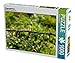 Produktbild Hängengeblieben 1000 Teile Puzzle quer (CALVENDO Natur)