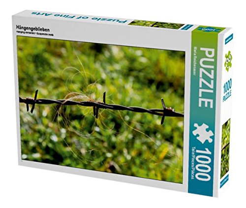 Preisvergleich Produktbild Hängengeblieben 1000 Teile Puzzle quer (CALVENDO Natur)