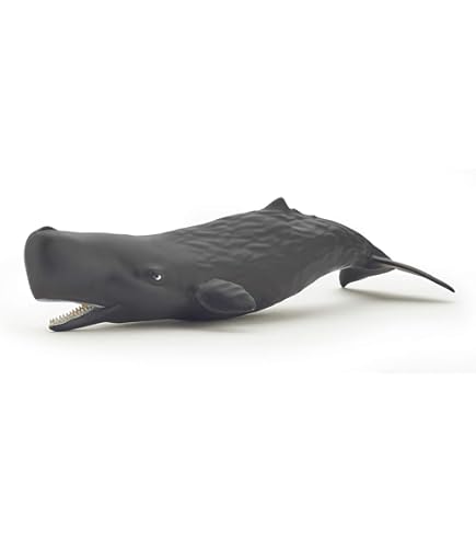 Papo - Hand-Painted - Figurine - Marine Life - Whale Calf Figure-56035 - Collectible - For