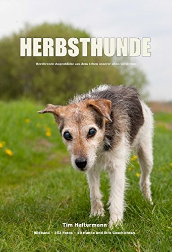 HERBSTHUNDE: Berührende Augenblicke aus dem Leben unserer alten Gefährten