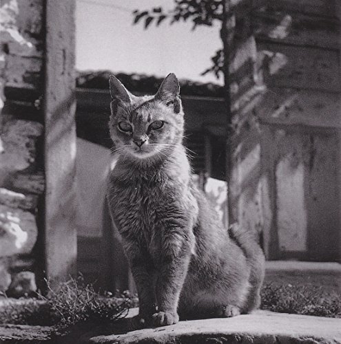 Les Chats: Photographies et Poemes gratuit Les Chats: Photographies et Poemes gratuit