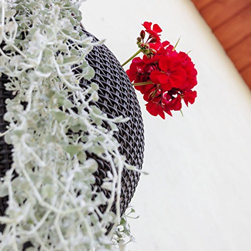 Hängepflanztopf Hanging Sphere - 6