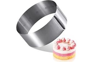 DREAM HORSEX Anello per torta regolabile, robusta sostituzione della forma a piuma, molto adatto per fare torte, molto adatto per cambiare la dimensione della torta, la lunghezza va da 6 a 11 pollici
