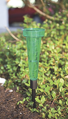 Windhager Regenmesser mit Erdspieß, 22 cm - 3