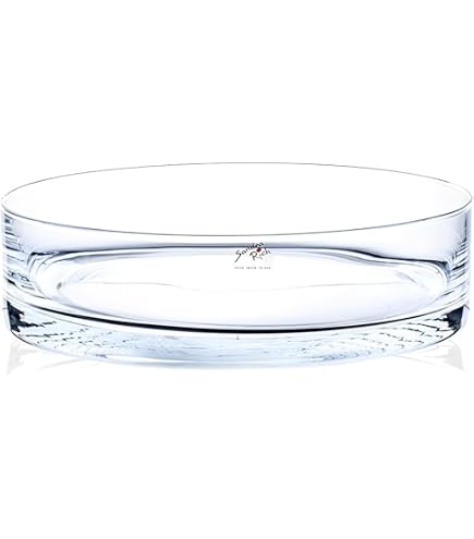XXXL Shop Schale, Klar, 12,50x7x12,50 cm, Glas