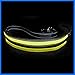Produktbild amoredipet LED-Licht Up Dog Leine – USB wiederaufladbar – Ihr Hund wird mehr sichtbar & Sicher, perfekt zu Verwendung mit unseren passenden illumiseen Halsband
