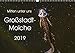 Produktbild Mitten unter uns - Großstadt-Molche (Wandkalender 2019 DIN A3 quer): Große und kleine Teichmolche (Monatskalender, 14 Seiten ) (CALVENDO Tiere)