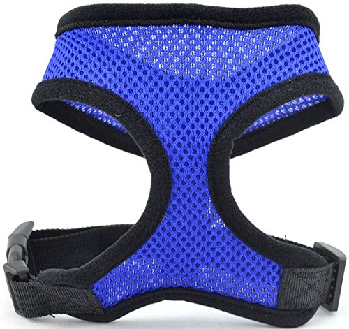 Viskey-Dog-Pet-Travel-Car-Seat-Safety-Belt-HarnessDog-Pet-House