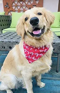 For The Fur Kids Winter Dog Bandana: Ho Ho Ho Bandana for Dogs and Cats (Red)