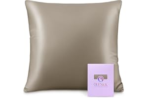 OLESILK Taie d'oreiller en Soie Naturelle de mûrier 16 Mommes: Prend Soin de Votre Peau et Moins de Perte de Cheveux - Taupe, 65x65cm