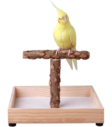 Mangiatoia Automatica Uccelli MEISO - Con Dispenser Acqua, Acrilico Trasparente - Foto 2