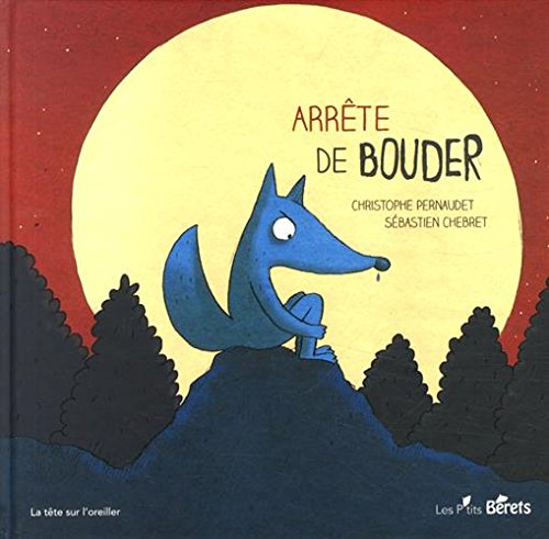 couverture de : Arr&ecirc;te de bouder