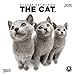 The Cat 2015: Broschürenkalender mit Ferienterminen by