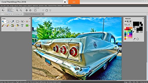 PaintShop Pro 2018 - Software De Dise  o Grafico Y Edici  n De Fotos  Windows  Multi  1 Usuario
