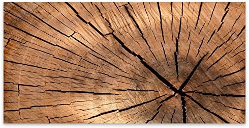 Brown Tree Trunk Texture Acrylic Glass Wall Art -120cm x 60cm