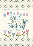 Bump to Birthday, Pregnancy & First Year Baby Journal (Parent & Child)(E2)